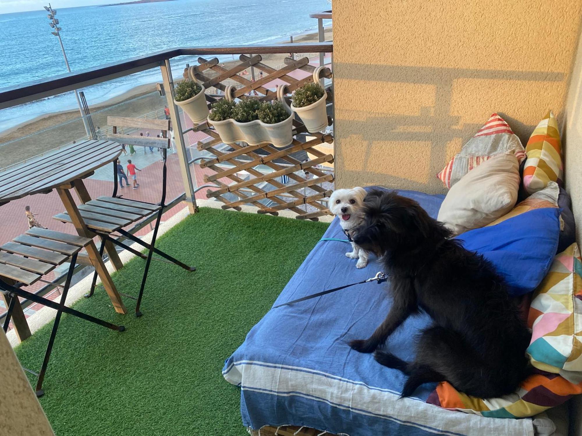 Apartamento Mar y Playa de Martín, 2B Las Palmas de Gran Canaria Exterior foto